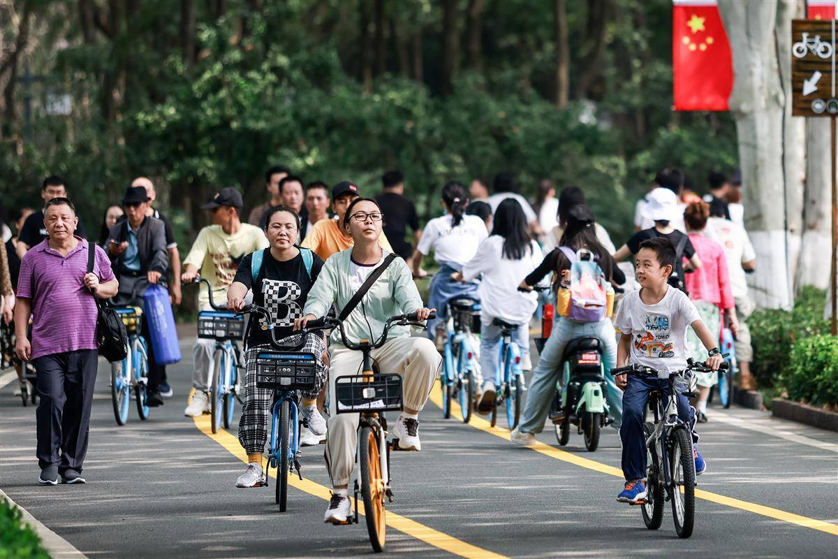 娱乐平台登录入口